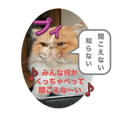 MSSAN_20250919010243