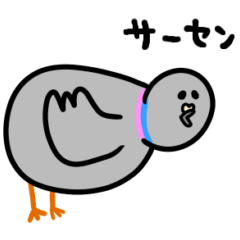 Chubby pigeon Metaboppo Generation Z