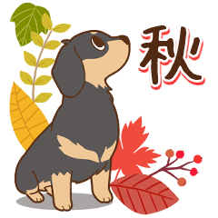ダックス大好き【秋】黒タン