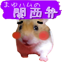 a hamster with eyebrows in Kansai(Ver.2)