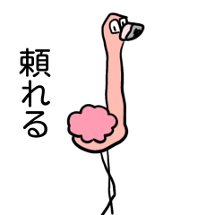 頼れるフラミンゴ