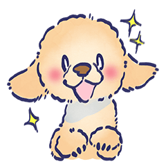 日常で使えるプードル