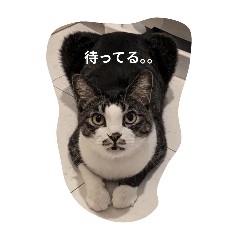 kaori_20250918214451