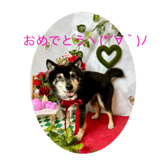 megumogu_20250919081720
