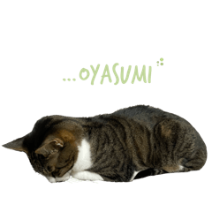 uchi no ko! edamame stamp3