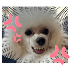 minamaru_20250919112821