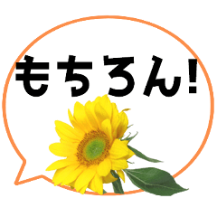 *Flower* Sunflower&SpeechBubble Colorful