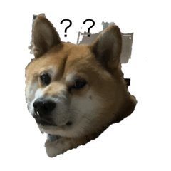 takashi_20250918235945