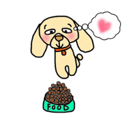 Toy poodle. Polon