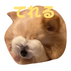 Satoshi_20250919084238