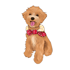 你喜歡的可愛毛孩插畫