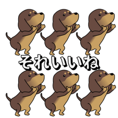 極・激しく尻尾をふるダックス