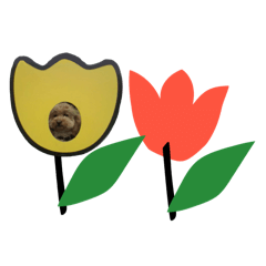 Alisa_20250919120910