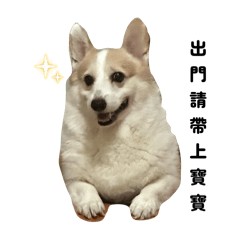 小豬福