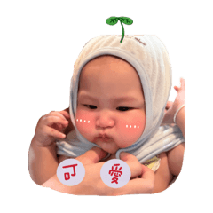 糰子寶寶的表情包