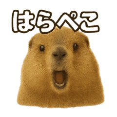 マーモットのコトバ2