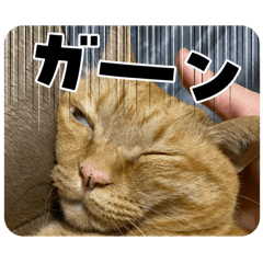 MISAKI_20250919125522