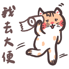 Gali cat returns in chaos