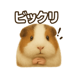 モルモットのコトバ2