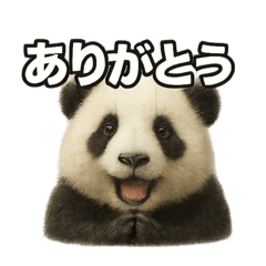 パンダさんのコトバ