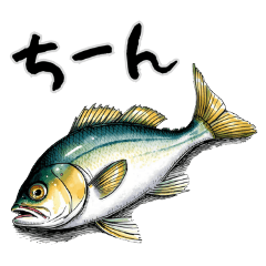 fish!! fish!! fish!!