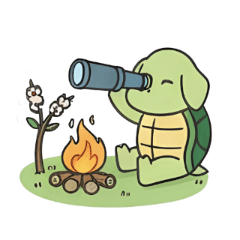 バカンス好きのカメです！