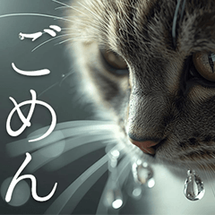 猫好きに送る　おしゃれなスタンプ