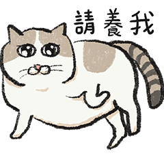 有眼線的貓貓#1