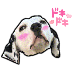 sumusumu_20250918203304