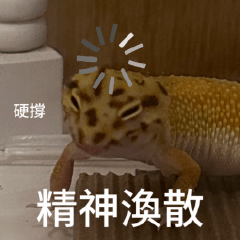 守宮餅乾：精神渙散