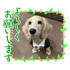 Happy_20250919132520