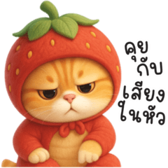 แมว พาสเทล 6 ❤️❤️❤️