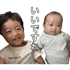 hachi_20250918191127