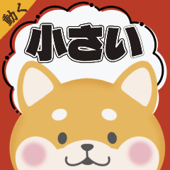 小柴犬＊天天都能用