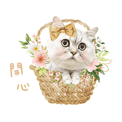 小淘氣咪醬PART 2