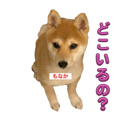 Monaka_20250919141821