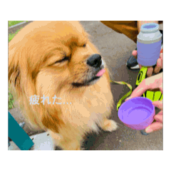 ayumi_20250919224805