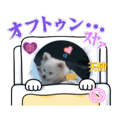 shipom_20250919230949