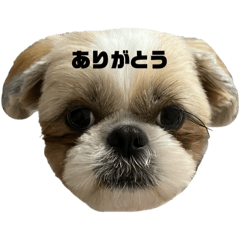 haniko_20250919215016