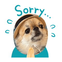 tenichi_20250919222715