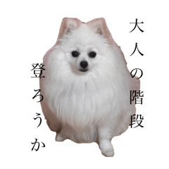 YAMADA_20250919163033