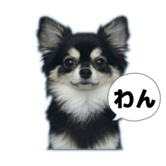 riko yamada_20250920003208