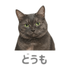 nagisa_20250919231419