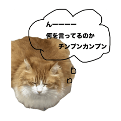 m_20250920040414