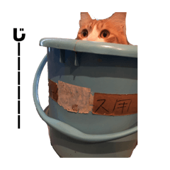 m_20250920035943