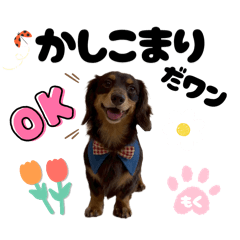 Annie_20250920042745