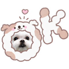 我是一隻可爾必思 瑪妮～