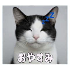 nagisa_20250919235726