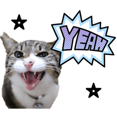 Haruna_20250920001410