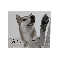 michan_20250919200152